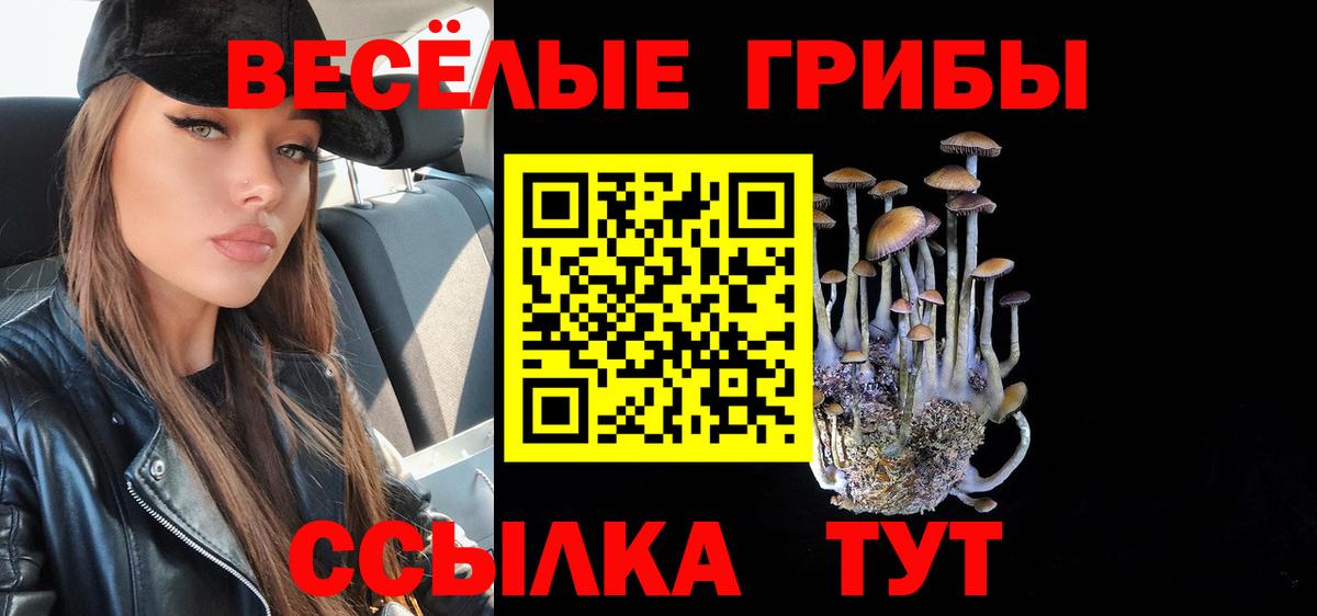 Галлюциногенные грибы Magic Shrooms Сорочинск
